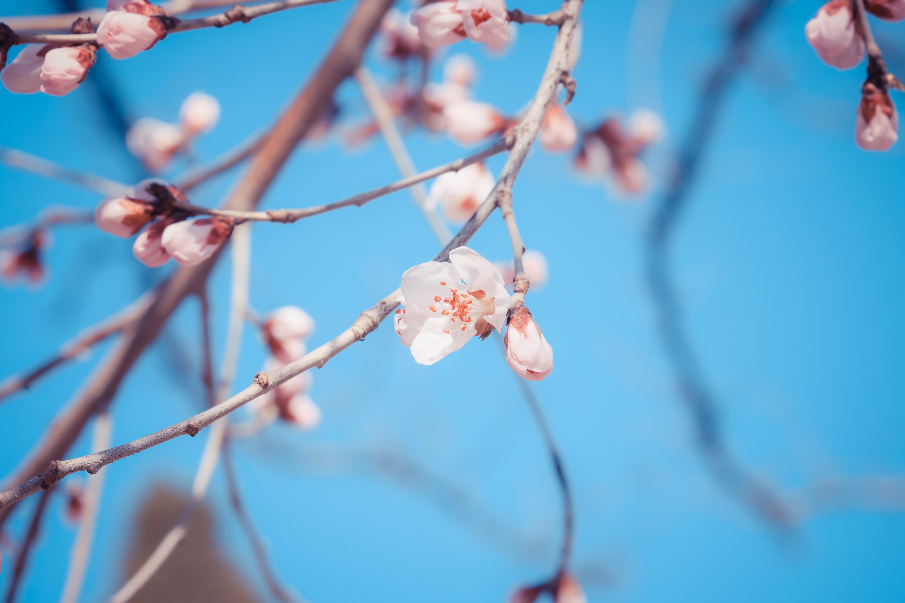 南宫NG28相信品牌的实力网址(中国)官网